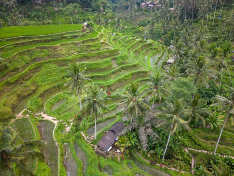 Top Bali Destinations