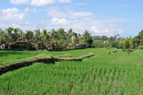 Where to Stay in Bali for the First Time (2026 Area Guide)