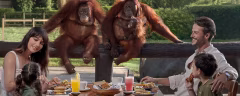 Bali Zoo Gianyar