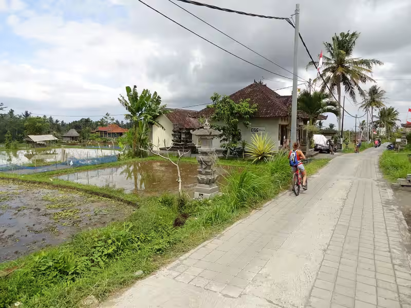 Campuhan Ridge Walk Ubud