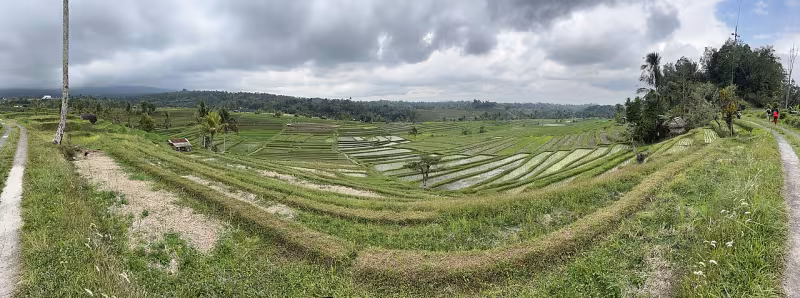 Jatiluwih Rice Terraces