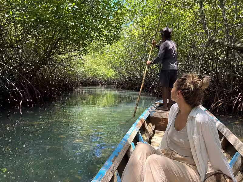 Mangrove Forest Nusa Lembongan