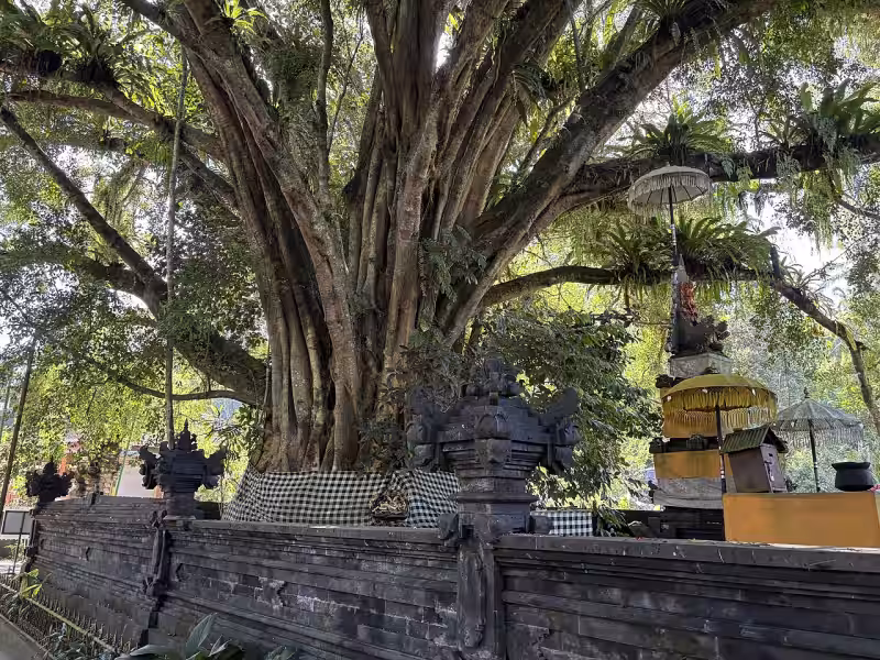 Pura Tirta Empul Bali