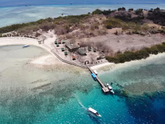 Menjangan Island Bali Diving