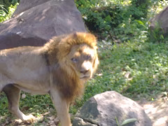 Bali Zoo Gianyar
