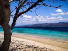 West Bali National Park Jembrana