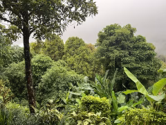 Munduk Village