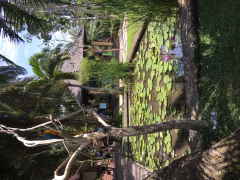 Bali Bird Park Gianyar
