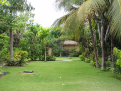 Pemuteran Beach