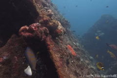 USAT Liberty Wreck