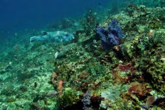 Crystal Bay Nusa Penida