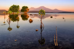 West Bali National Park Jembrana