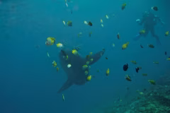 Crystal Bay Nusa Penida