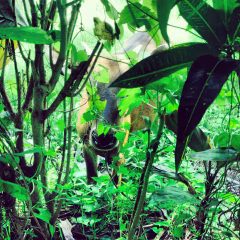 Balian Beach