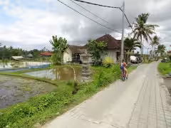 Campuhan Ridge Walk Ubud