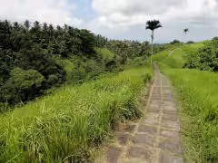 Campuhan Ridge Walk Ubud