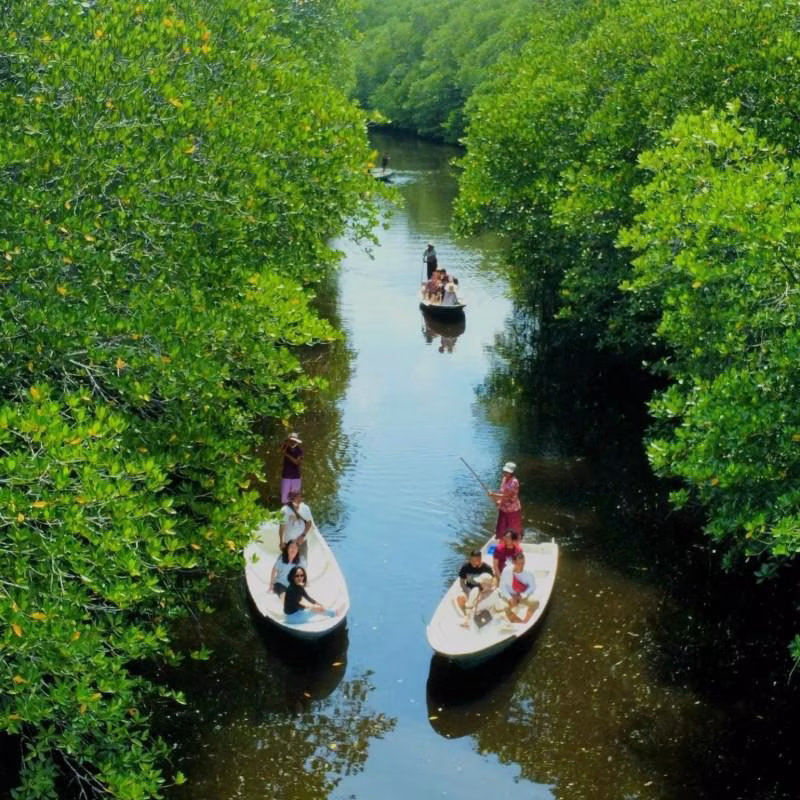 Mangrove trees and tidal water in northern Nusa Lembongan