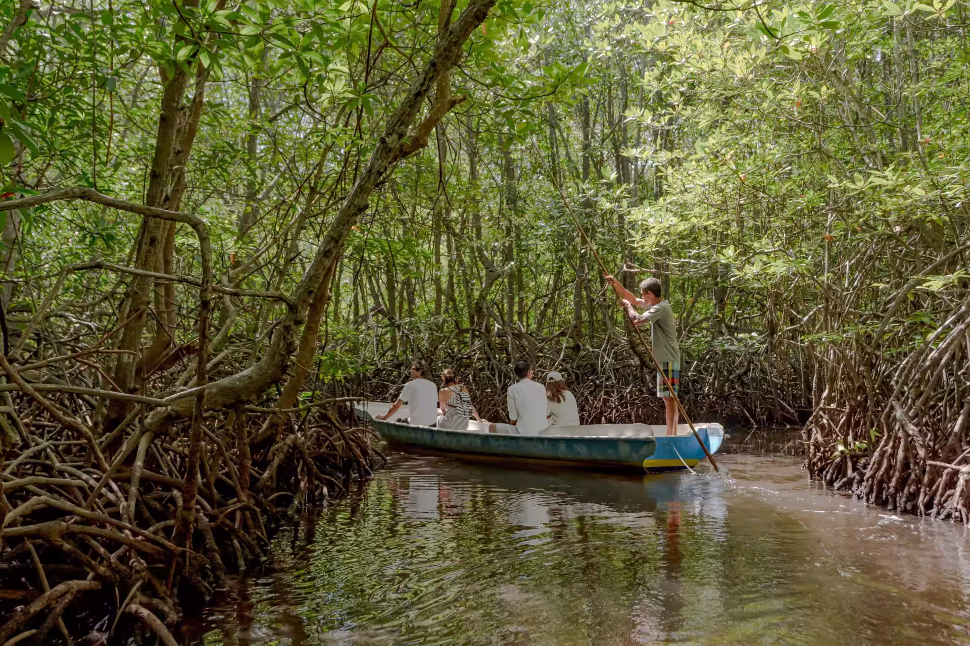 Dense mangrove canopy bordering a narrow water channel on Nusa Lembongan