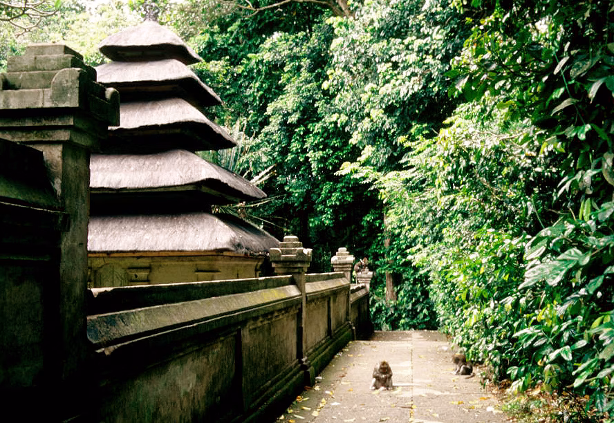 Pura Alas Kedaton gallery image 2