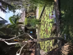 Bali Bird Park Gianyar