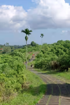 Campuhan Ridge Walk Ubud