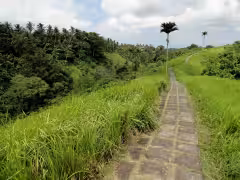 Campuhan Ridge Walk Ubud