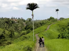 Campuhan Ridge Walk Ubud