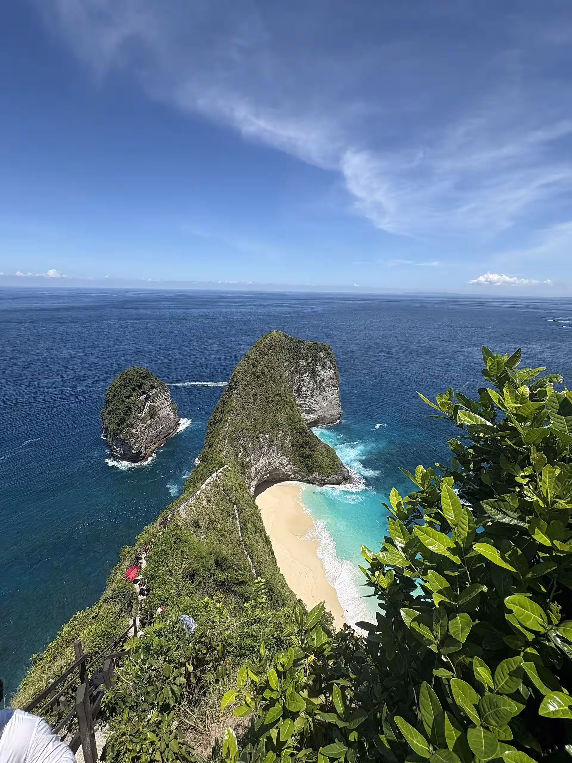 Kelingking Beach headland and cove framed by vegetation at the viewpoint