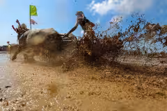 Makepung Buffalo Racing Bali: Schedule & Visitor Guide