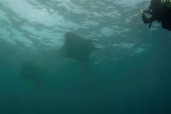 Nusa Penida