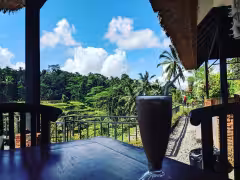 Tegalalang Rice Terraces Bali