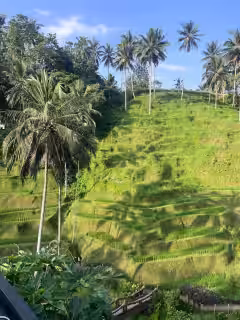 Tegalalang Rice Terraces Bali