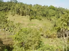 Tegalalang Rice Terraces Bali
