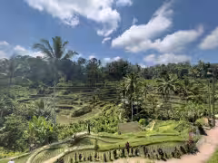 Tegalalang Rice Terraces Bali