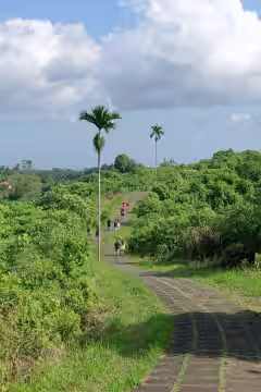 Ubud