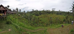 Ubud