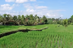 Ubud