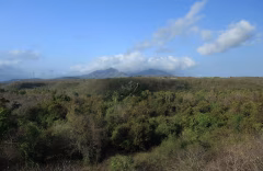 West Bali National Park Jembrana