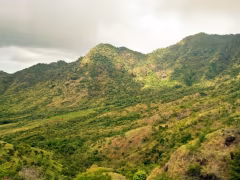 West Bali National Park Jembrana