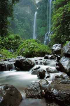 North Bali Hot Springs & Waterfalls Tour