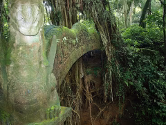 Ubud Cultural Full Day Tour