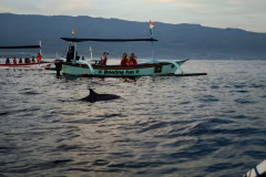 North Bali Hot Springs & Waterfalls Tour