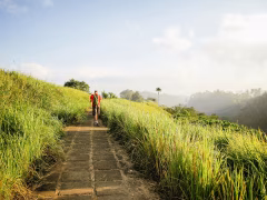 Ubud Wellness & Spiritual Healing Retreat