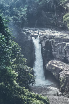 Ubud Family Adventure Tour Bali