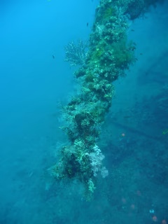 Tulamben Diving & Snorkeling Tour East Bali
