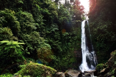 North Bali Hot Springs & Waterfalls Tour