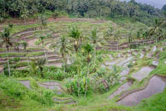 Ubud Family Adventure Tour Bali