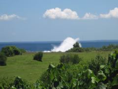 Nusa Lembongan Full Day Tour 