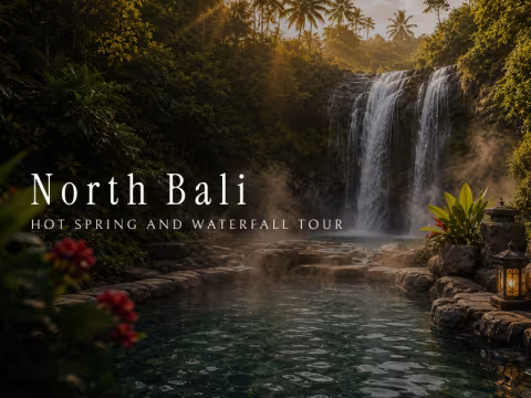 North Bali Hot Springs & Waterfalls Tour