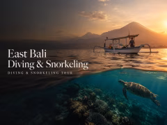 Tulamben Diving & Snorkeling Tour East Bali